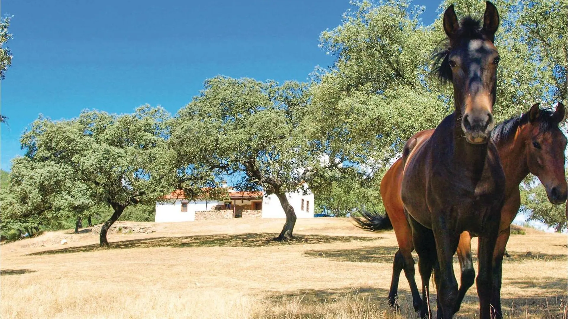Beautiful Home In Villaviciosa De Cordo, Villaviciosa de Córdoba